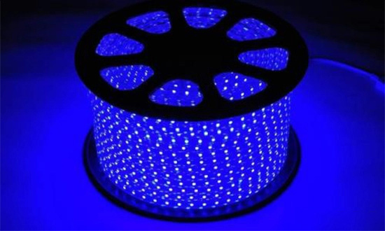 1665106369538870.jpg 0b46f21fbe096b63f718f26e9181884feaf8accc_看圖王.web.jpg