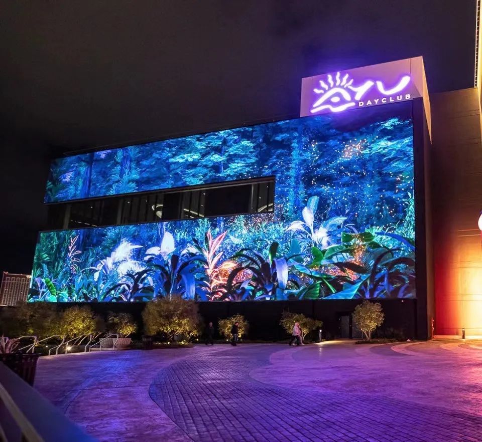 1666404308193340.jpg 1000 (1).jpg